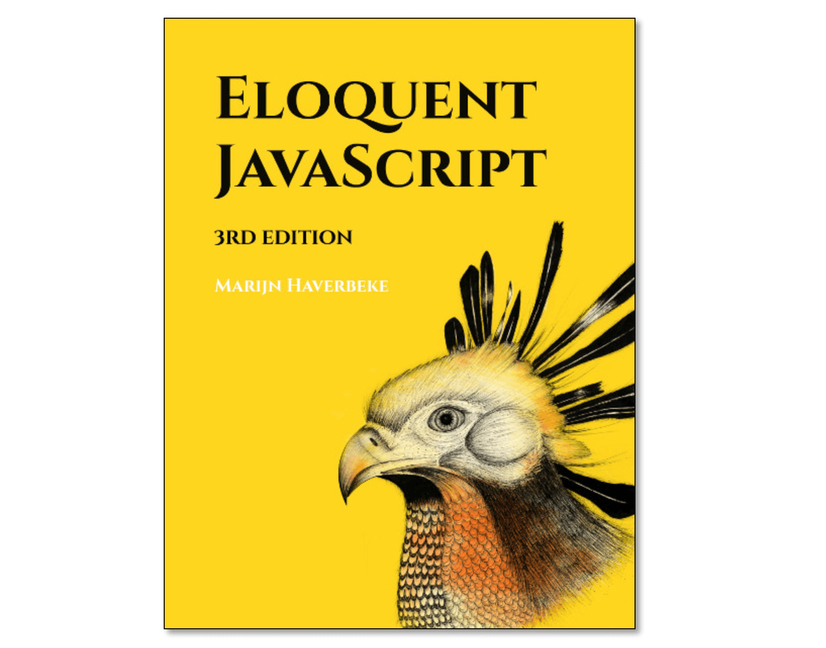 Eloquent JavaScript.