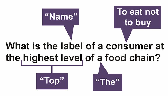 Source: Stone Temple