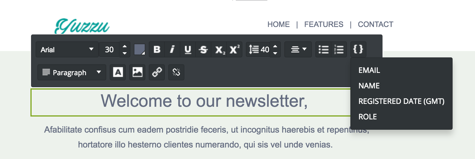 The menu for adding dynamic variables to templates.