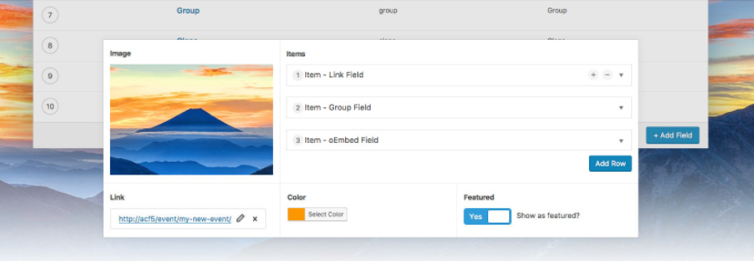 The Advanced Custom Fields WordPress plugin.